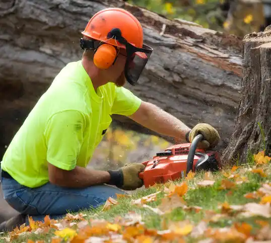 tree services Lake St. Louis